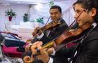 Groupe de Musique : Venezia : Groupe de Musique - Tunis - Zifef - photo 4