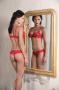 Lingerie : Charlott' Lingerie : Lingerie - Tunis - Zifef - photo 1