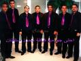 Groupe de Musique : Mehrez Soltane : Groupe de Musique - Tunis - Zifef - photo 2