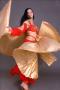 Danseuse Orientale : Asmahan : Danseuse Orientale - Ariana Ville - Zifef - photo 4