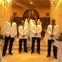 Groupe de Musique : Organiste Chanteur Libirsou Mohamed Amine : Groupe de Musique - Tunis - Zifef - photo 1