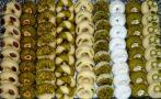 Pâtisserie Mariage : Pâtisserie Najla : Pâtisserie Mariage - Tunis - Zifef - photo 8
