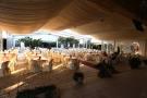 Salle des Fêtes : L'Olivier de la Soukra : Salle des Fêtes - La Soukra - Zifef - photo 16