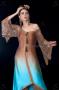 Robe de Soirée : Espace Mariées Madame Bouzid  : Robe de Soirée - Ariana Ville - Zifef - photo 5