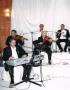 Groupe de Musique : Yassine Saied : Groupe de Musique - Tunis - Zifef - photo 5